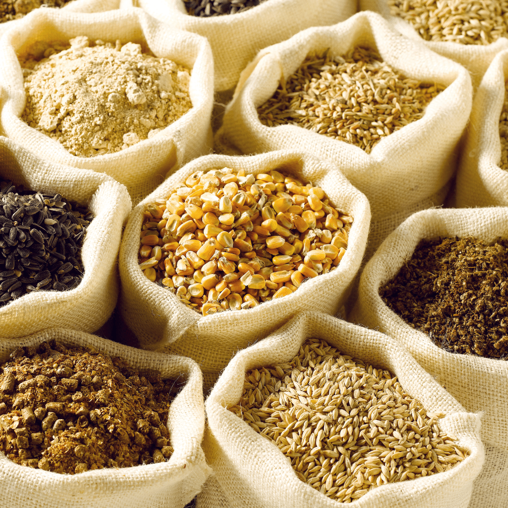 Grains