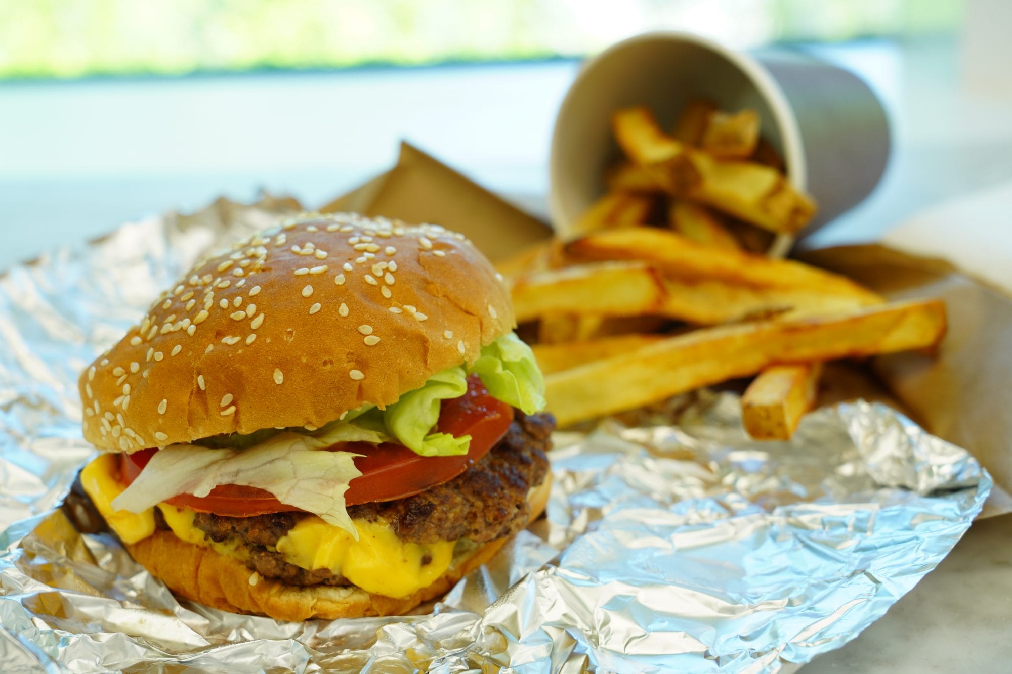 Hamburger and Fries