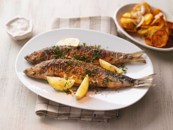 Herring