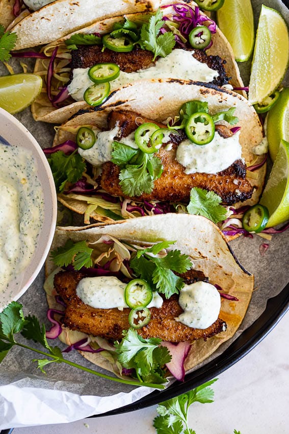 Porkbelly Tacos