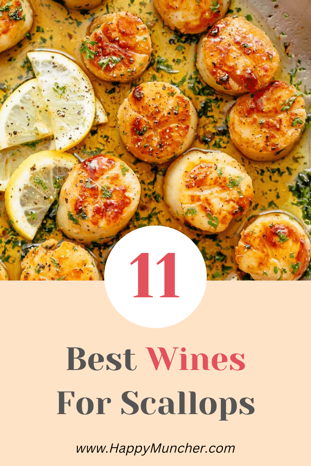 What Wine Goes with Scallops