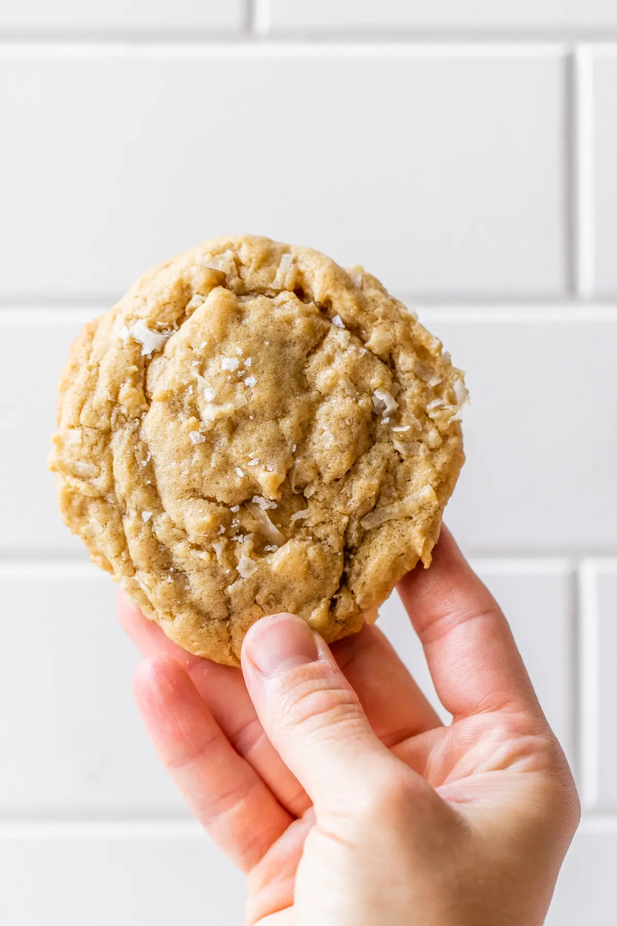 Chewy Coconut Cookies