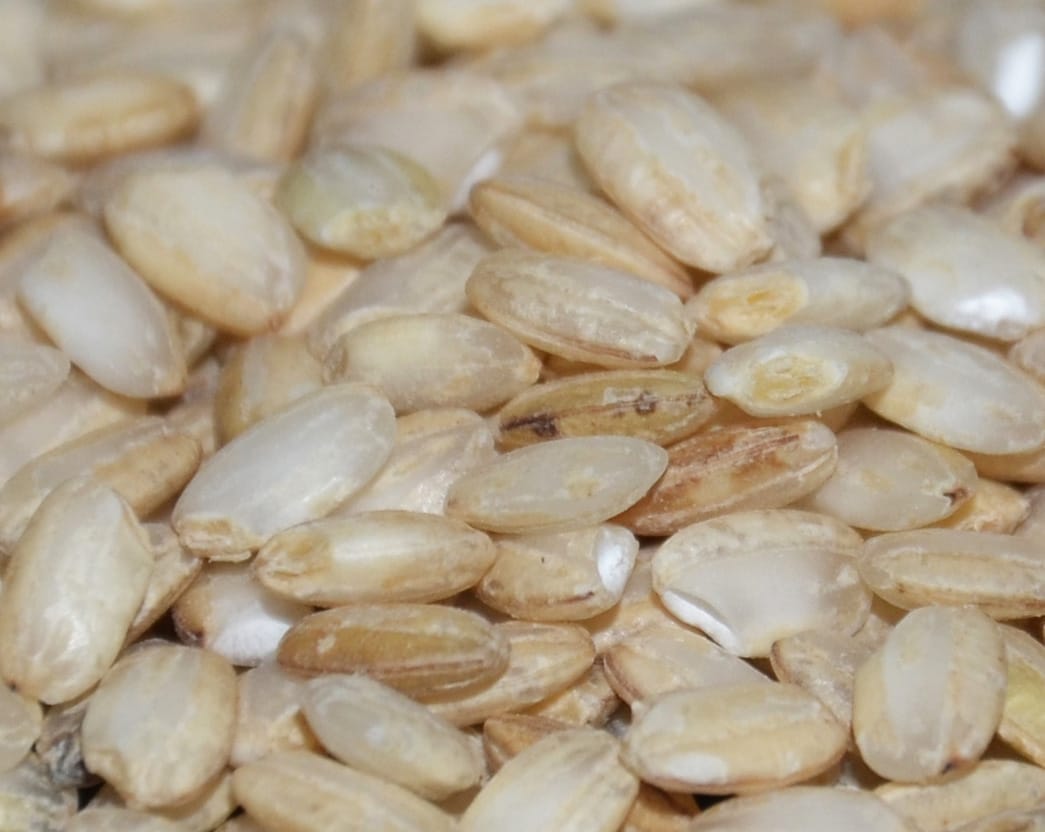 Vialone Nano Rice