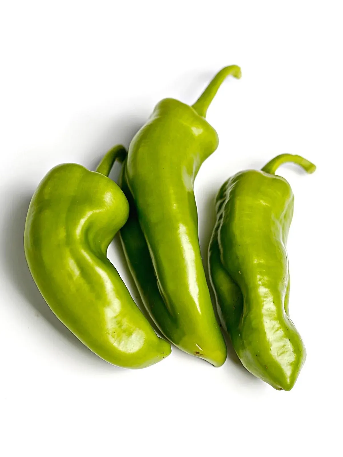 Anaheim Pepper