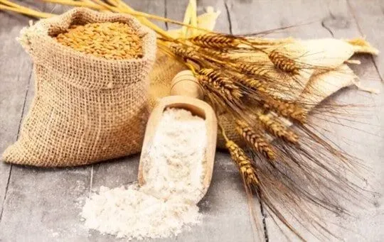 Barley Flour