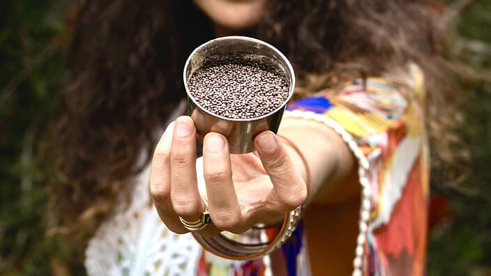 Black Mustard Seeds