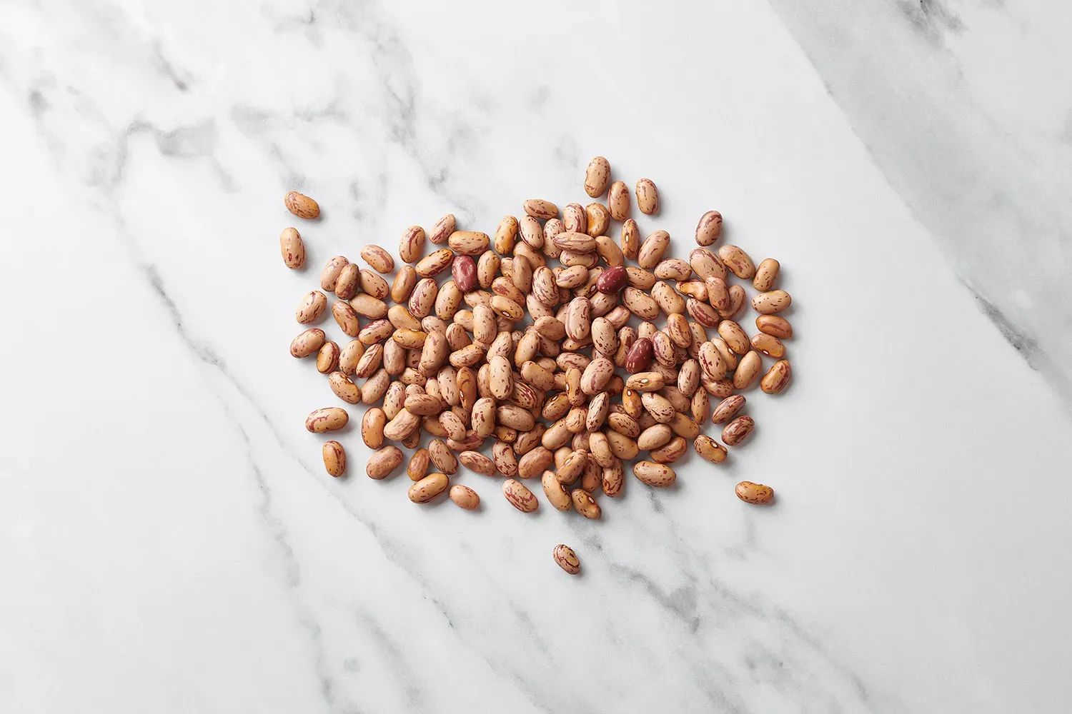 Borlotti Beans