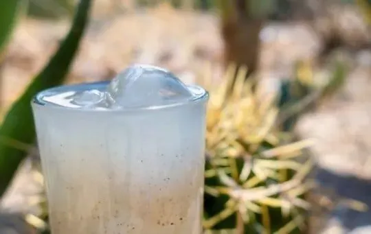 Cactus water
