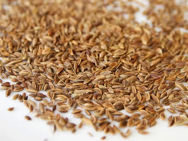 Dill Seeds