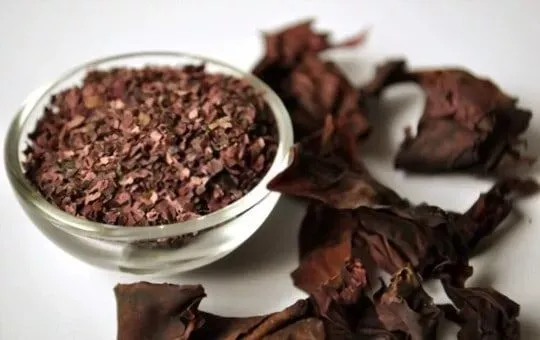 Dulse