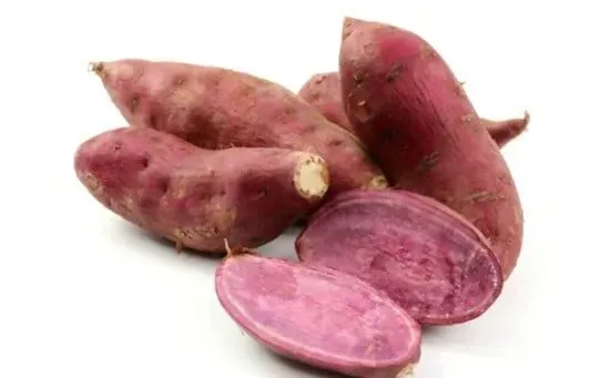 Garnet Potatoes