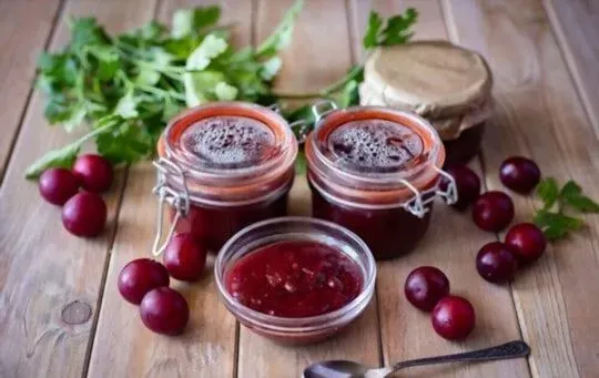 Plum Sauce