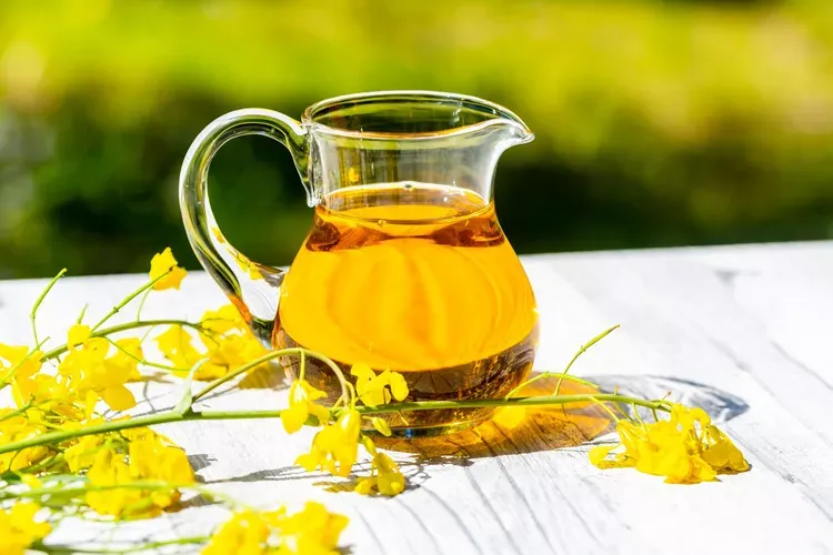 Rapeseed Oil