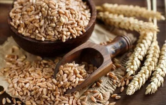 Spelt