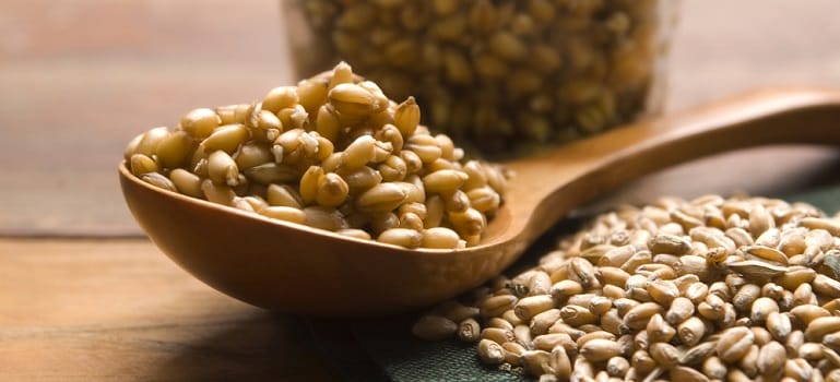 Wheat Germ