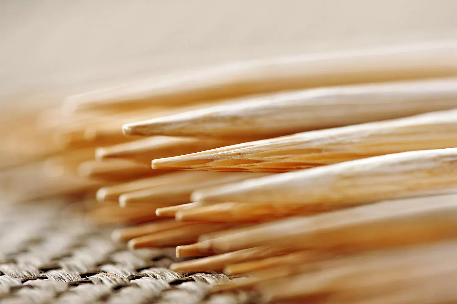 Wooden Skewers