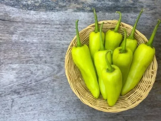 Banana Peppers