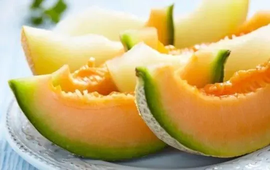 Cantaloupe