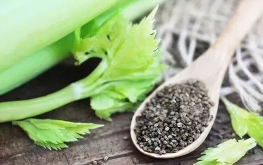 Celery Seeds
