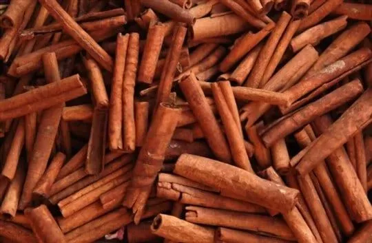 Cinnamon