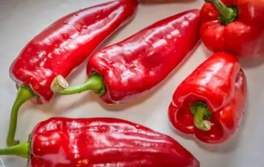 Cubanelle Peppers