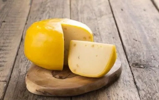 Gouda Cheese