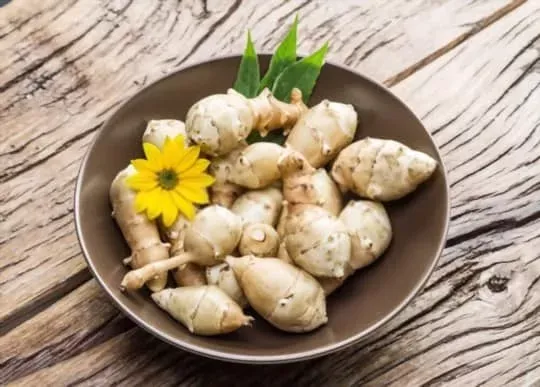 Jerusalem Artichoke