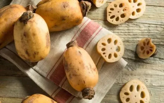 Lotus Root