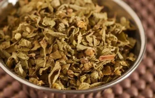 Mexican Oregano