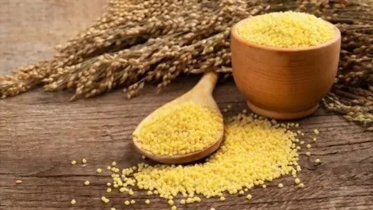 Millet