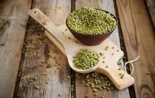 Mung Beans