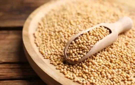 Mustard Seeds
