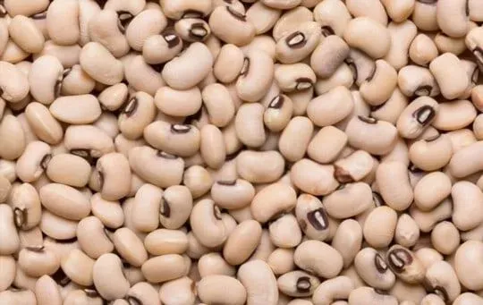 Navy Beans