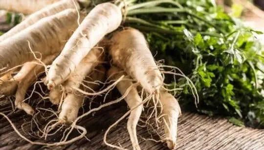 Parsnip