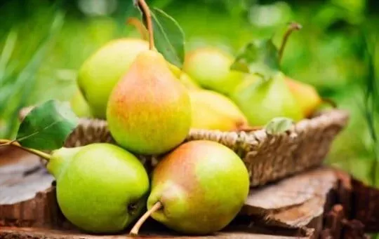 Pears