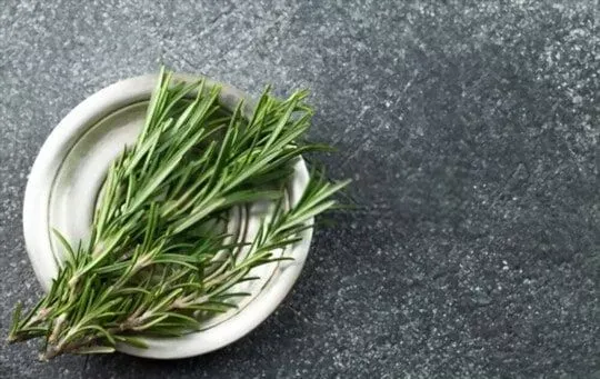 Rosemary