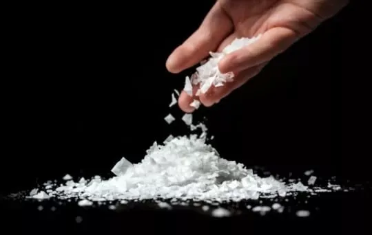 Sea Salt Flakes