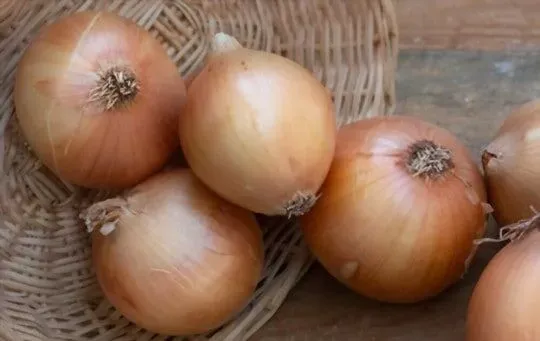 Yellow Onions