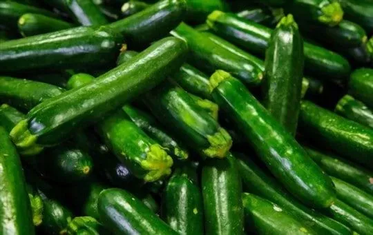 Zucchini