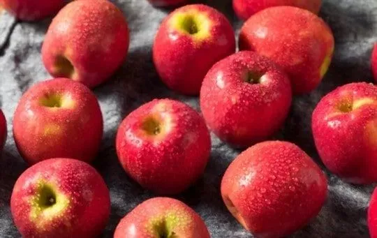 Apples