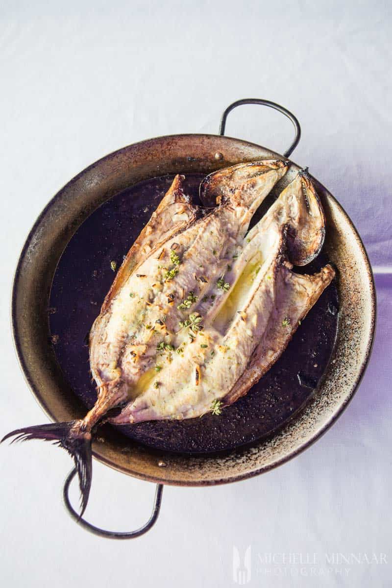 Bonito