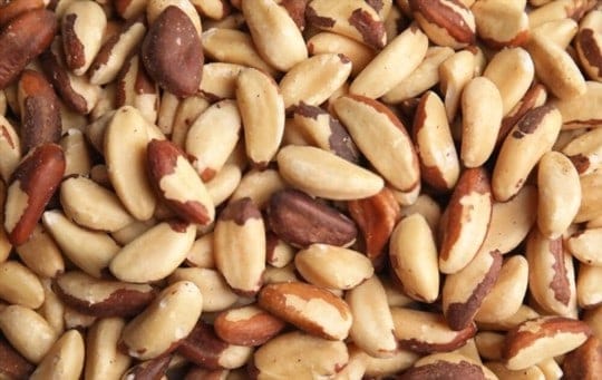 Brazil Nuts