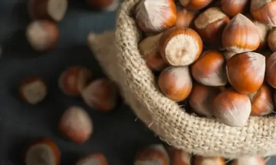 Hazelnuts
