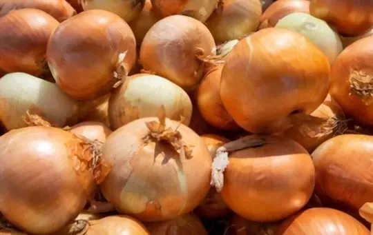 Spanish onions