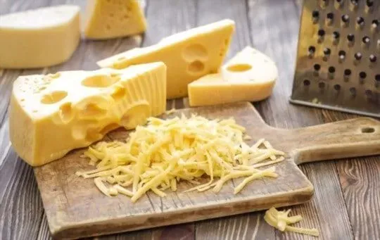 Swiss Cheese