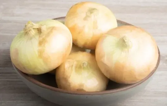 Vidalia Onions