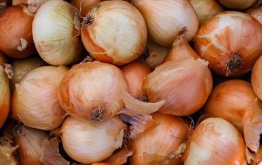 Walla Walla onions