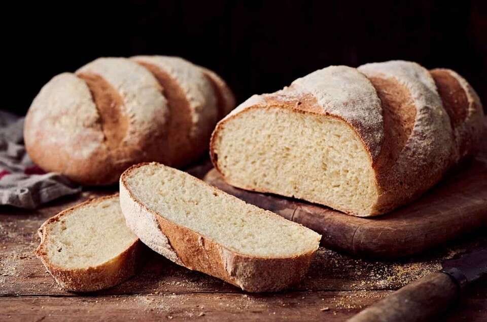 Best Bread for Ducks