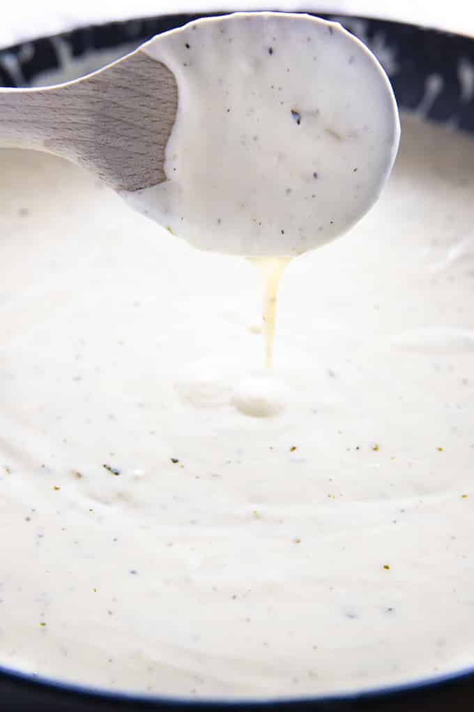Substitute for Parmesan Cheese in Alfredo Sauce