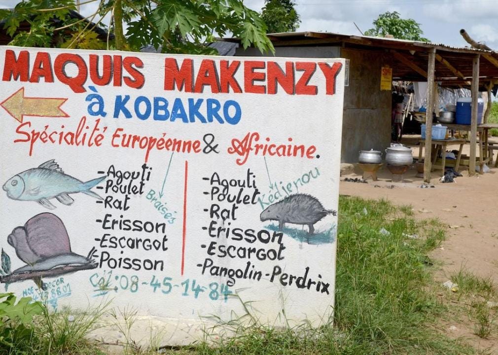 Bushmeat The sign of a "maquis," a small African restaurant, in Kobakro, outside Abidjan, which serves bushmeat.